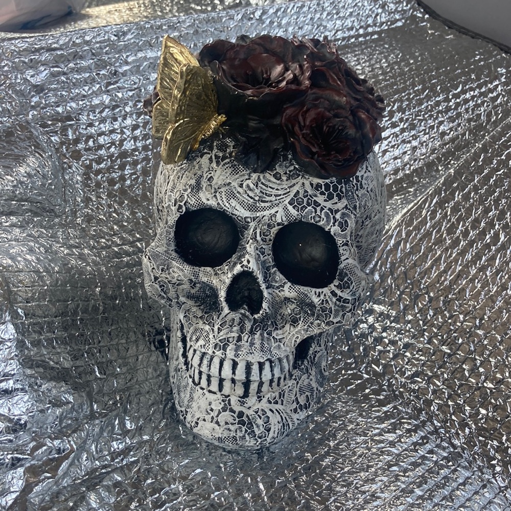 🚨 hidden broken spot- NWT still awesome lace skull anatomical display floral